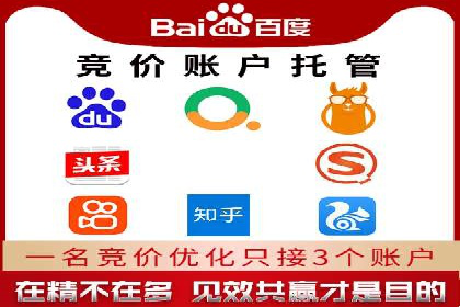 竞价排名优化策略案例分析